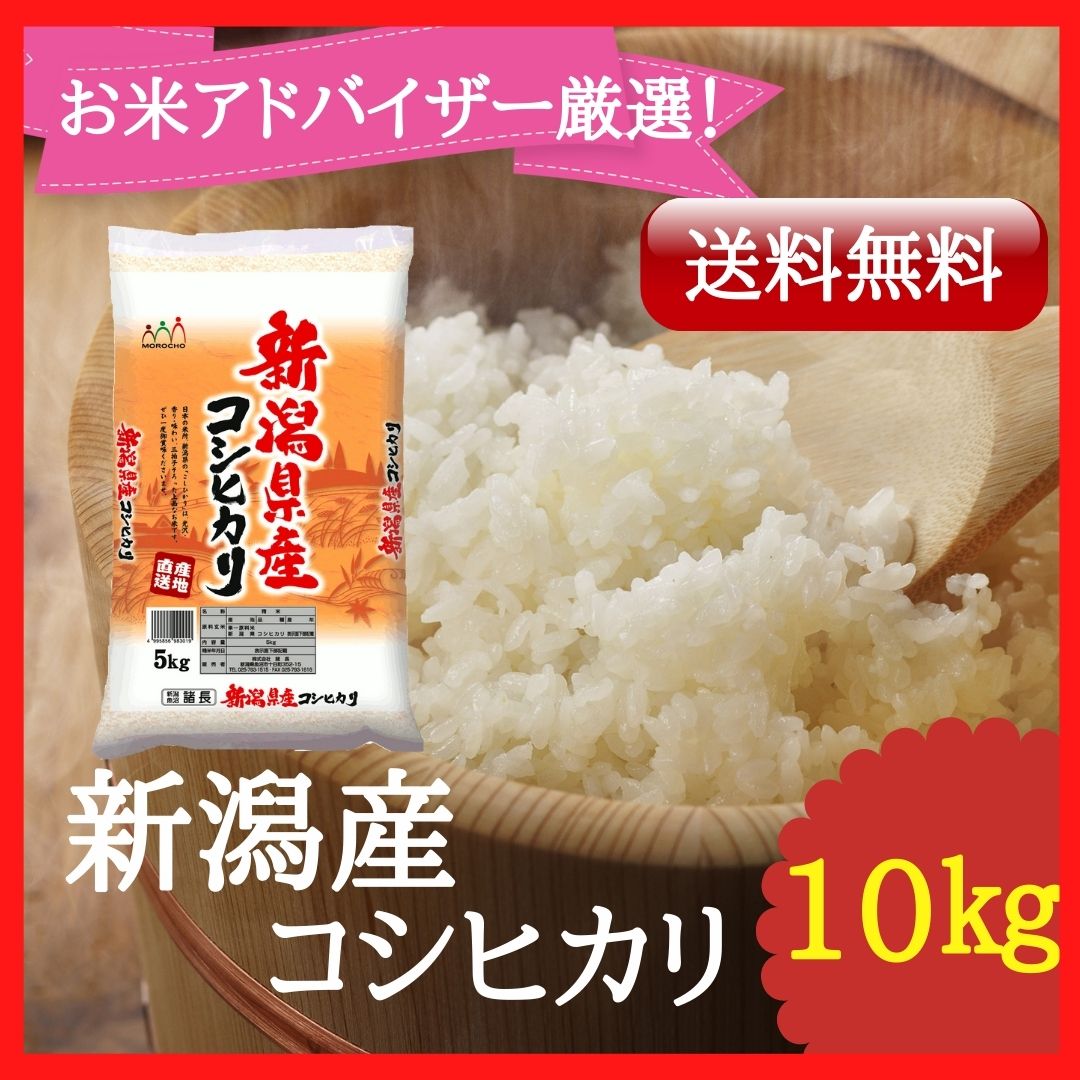 正規取扱店 新潟県産コシヒカリ わけあり 10キロ 中米 コスパ米